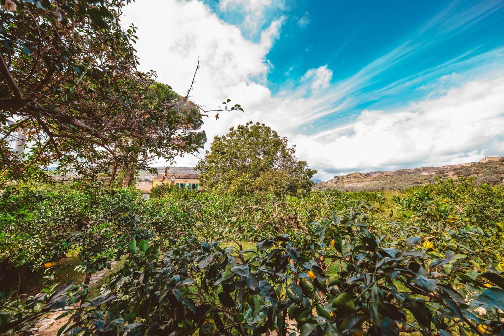Agriturismo Villa Vittoria Guardavalle Eksteriør billede