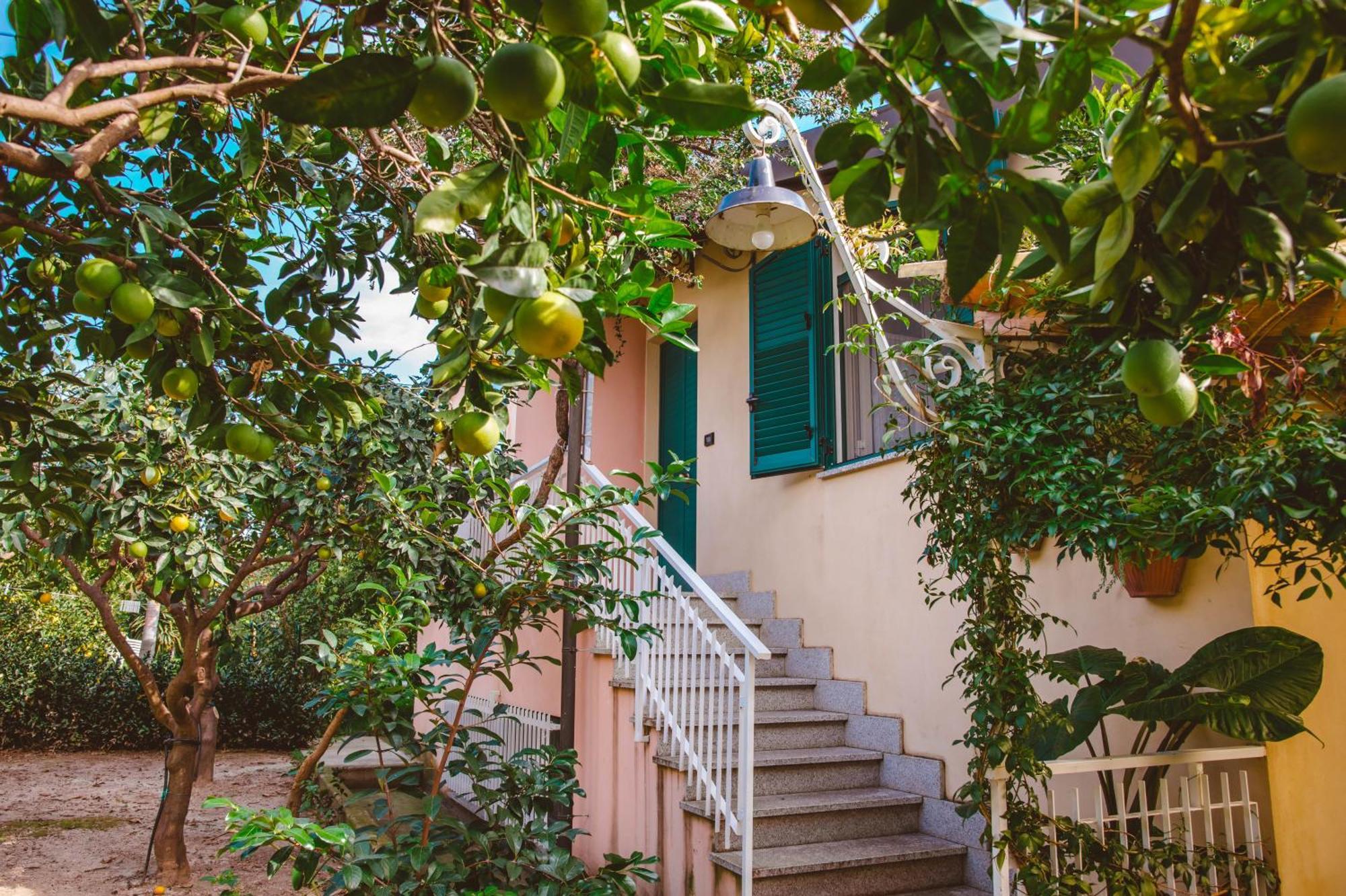 Agriturismo Villa Vittoria Guardavalle Eksteriør billede